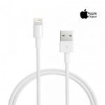 Apple 1m Lightning to USB Cable